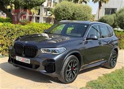 بی ئێم دەبڵیو X5